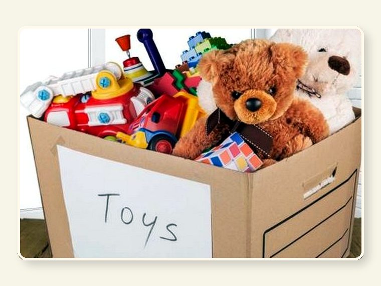 Enrichment & toys